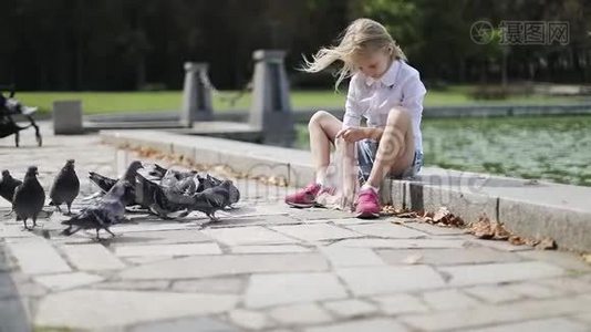 可爱的金发女孩在公园里用面包喂鸽子。视频