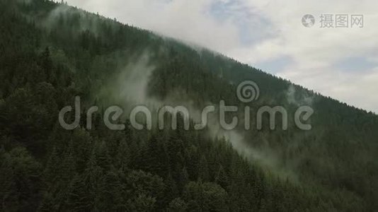 神秘而多雾的无人机在山上的雨林上空飞行。 查看静态视频