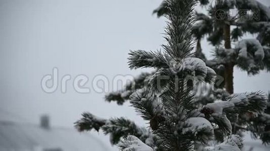 屋顶的房子在冬天降雪在针叶林。 柔和的白雪皑皑的圣诞节早晨，下着大雪视频