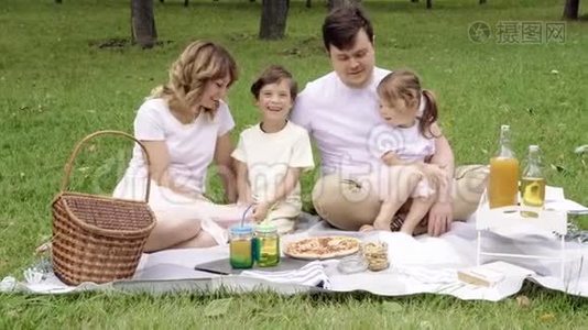 一家人在阳光明媚的夏日野餐的画像视频