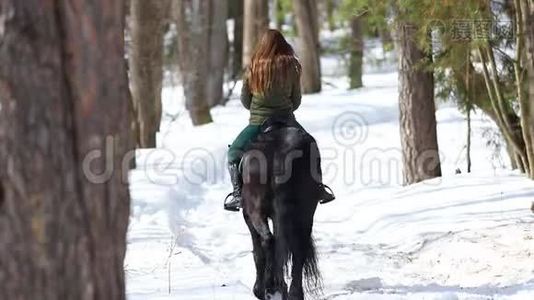 一个女人骑着马在冬天的森林里走在雪地上视频