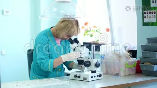 生物化学家在实验室里用发芽、生根的玉米种子，在实验室里用显微镜检查它们。科学视频