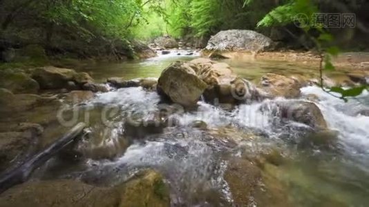 流经森林岩石的溪流足迹视频