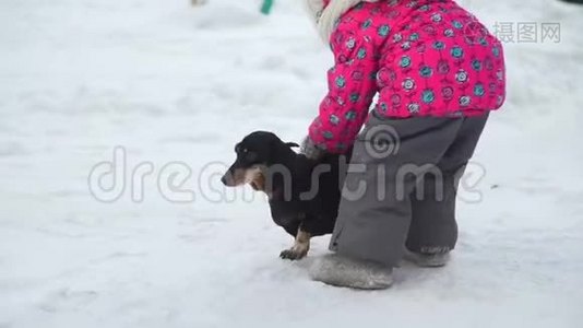 试图在雪地上抚摸狗的女孩视频