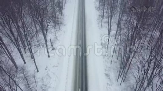 降雪时被冬林包围的道路的鸟瞰图视频