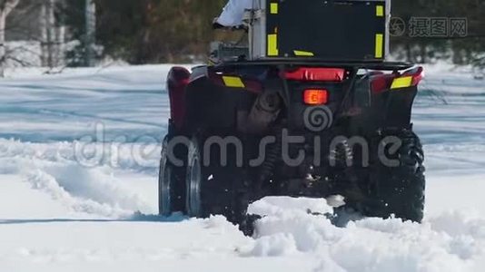 白天的冬天森林。 一个有姜发的女人白天骑雪车视频