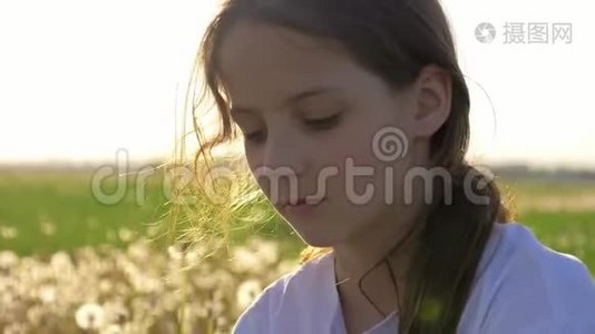 美丽的春天开始了新的生活。 可爱的小女孩收集蒲公英种子，然后用风吹着。 概念更新视频
