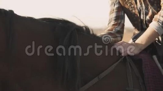 女人抚平马`鬃毛。 年轻女子坐在马背上爱抚鬃毛视频