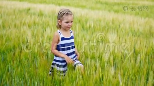 小女孩在田野里捉蚱蜢或蝴蝶视频