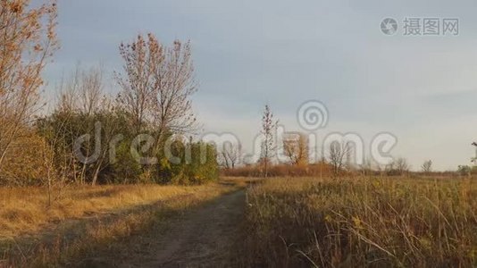 秋日的乡村道路，多云的天空视频