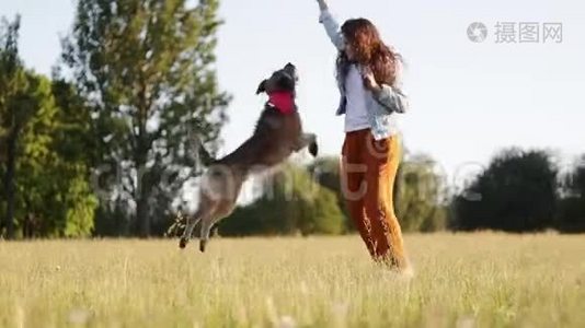 快乐的年轻白种人有着长长的卷发的女人正在和她的狗玩。视频