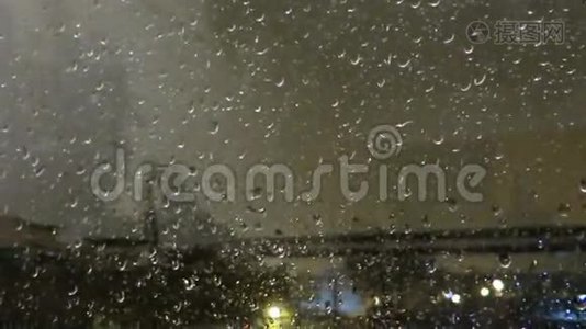 树在暴风雨中移动视频