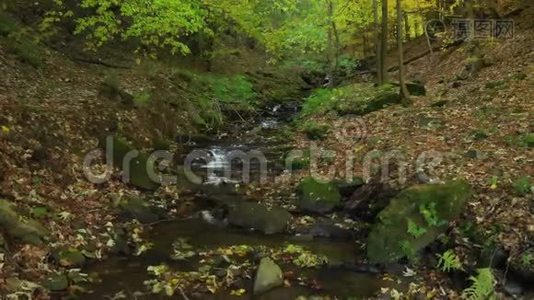 秋天山溪里清澈的水流视频