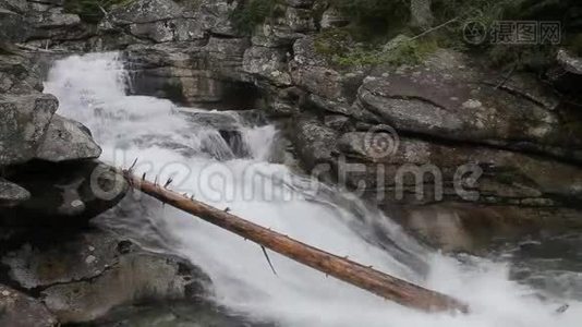 山泉水阻碍了森林中的河流视频