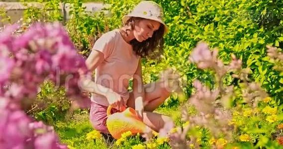 少妇夏在园关心花草.. 农场上的女孩从事种植。 妇女植物视频