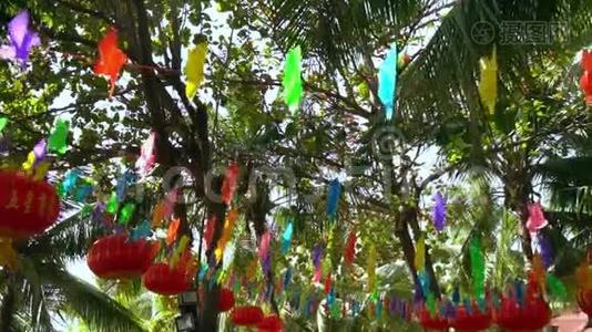 明亮的新年装饰在棕榈树上视频