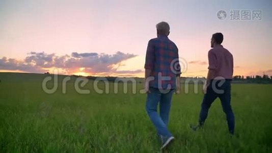 老父亲和他成年的儿子在麦田里散步，看着美丽的日落，大自然令人惊叹视频