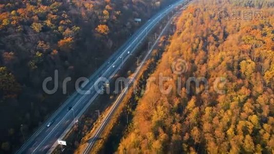 日落时的秋林路，无人机鸟瞰视频