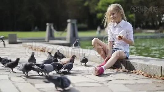 快乐的金发女孩在湖边的公园里喂鸽子面包。视频