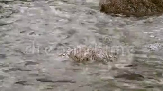 水波荡漾的大块湿石头视频