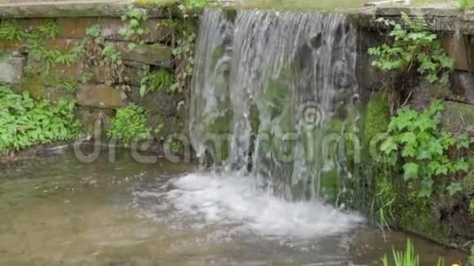 自然景观，阶梯瀑布，清新纯净的水流在草地之间缓慢流动视频