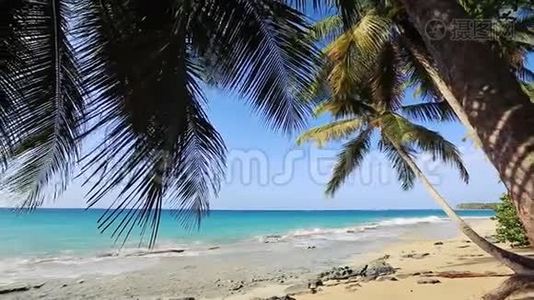 在热带海滩棕榈树的阴影下视频