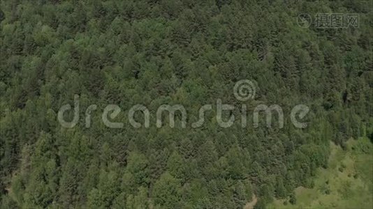 四架直升机上的树。 俄罗斯的森林草原。 草原和阿尔卑斯山上空的戏剧性云团.. 俄罗斯视频