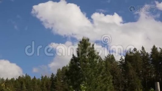 白云划过蓝天，翻滚的浮云在夏日里掠过森林视频