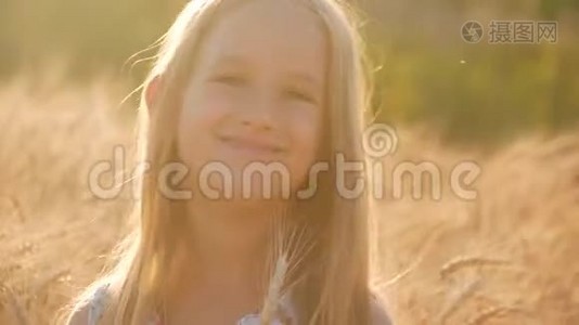 美丽的小女孩在户外享受自然麦田。 美丽的女孩在日落时在秋天的田野上玩耍。 双手视频