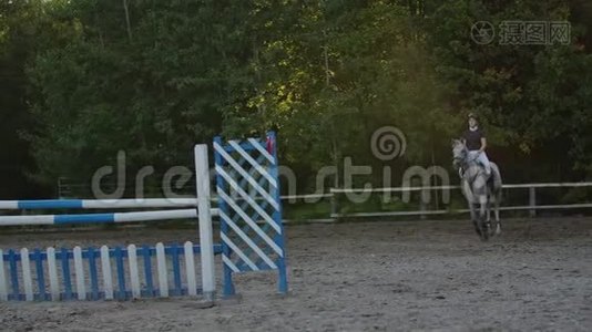 下面的动作，结束，低潮：骑马的女孩骑着强壮的棕色马，在阳光明媚的户外沙滩跑酷跳过篱笆视频