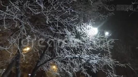 雪在城市的夜晚落下视频
