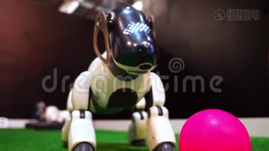 宠物狗机器人玩球视频