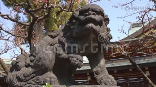 东京福岛神社石像守护犬视频