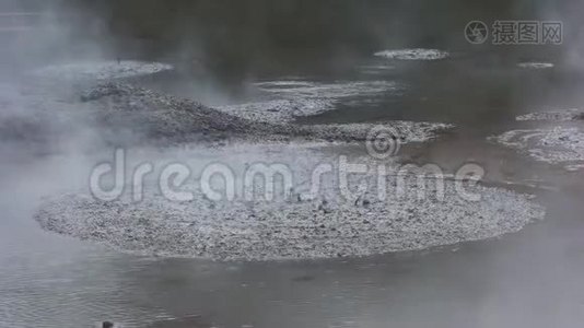 Rotorua nz的沸腾泥浆池视频
