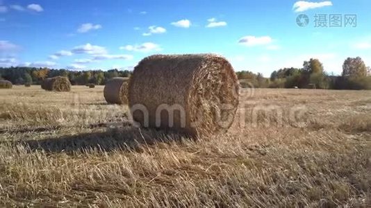 围绕麦秸秆箱的运动与森林视频