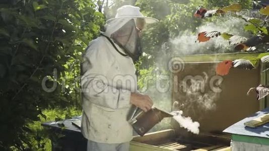 养蜂人在保护性均匀熏蒸蜂箱与蜜蜂吸烟者慢动作视频