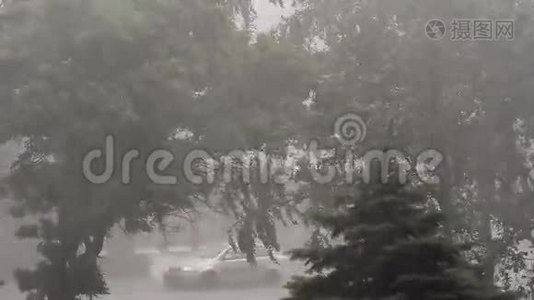 乌克兰极端飓风刮树视频