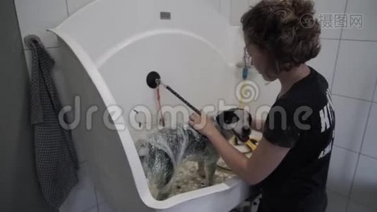 女洗手用弹力膜包裹狗视频