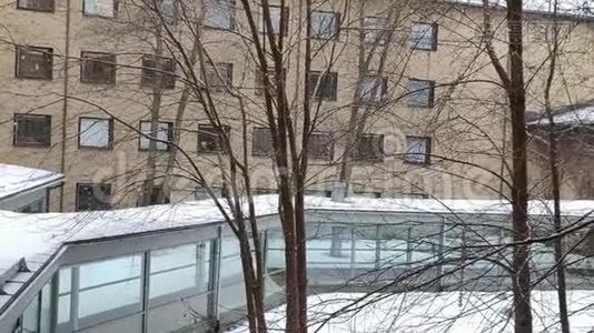 在大学院子里的路上下雪，一棵分枝的树在混合缓慢的运动中视频