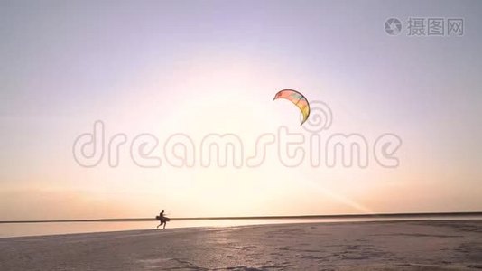 黎明背景下一个人的剪影控制着一只训练风筝沿着海滨散步视频