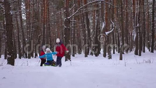 孩子们在松树公园的雪道上把妈妈卷在雪碟上，笑了起来。 一家人在针叶林玩耍视频