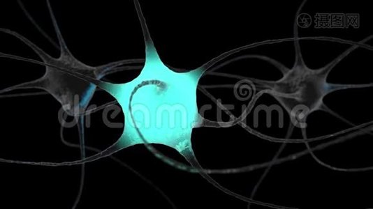 脑内神经元簇信号传递.视频