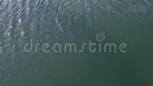 海水表面的波纹视频
