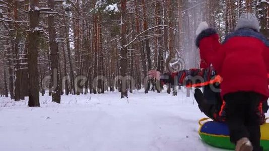 孩子们在松树公园的雪道上把妈妈卷在雪碟上，笑了起来。 一家人在针叶林玩耍视频