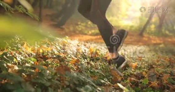 秋天公园里的女跑步者。 穿着慢跑服`女人腿的特写镜头，穿着落叶的短裤视频