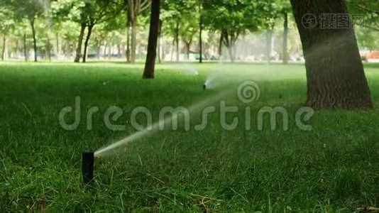 公园草地上的草地洒水装置视频