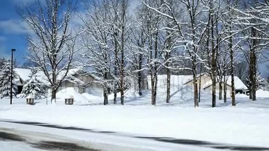 暴风雪过后，一个住宅区的橡树在房屋前的积雪堆前结了新雪视频