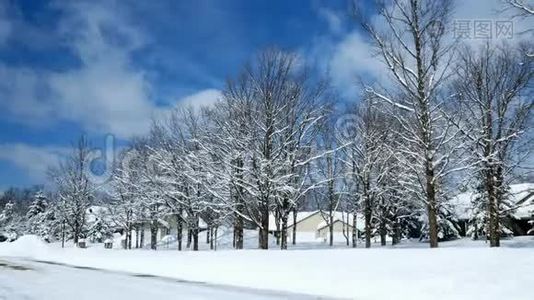 暴风雪过后，一个住宅区的橡树在房屋前的积雪堆前结了新雪视频