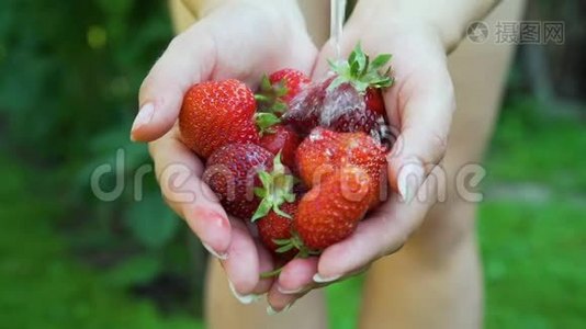 手拿草莓时洗草莓视频