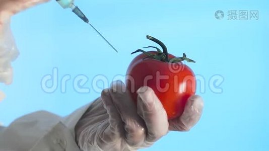 用蓝色背景的番茄注射绿色液体gmo注射器视频